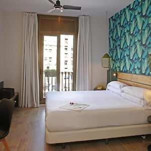 Superior Kamer met een King Size Bed